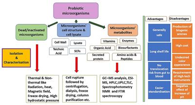 Postbiotics: From emerging concept to application